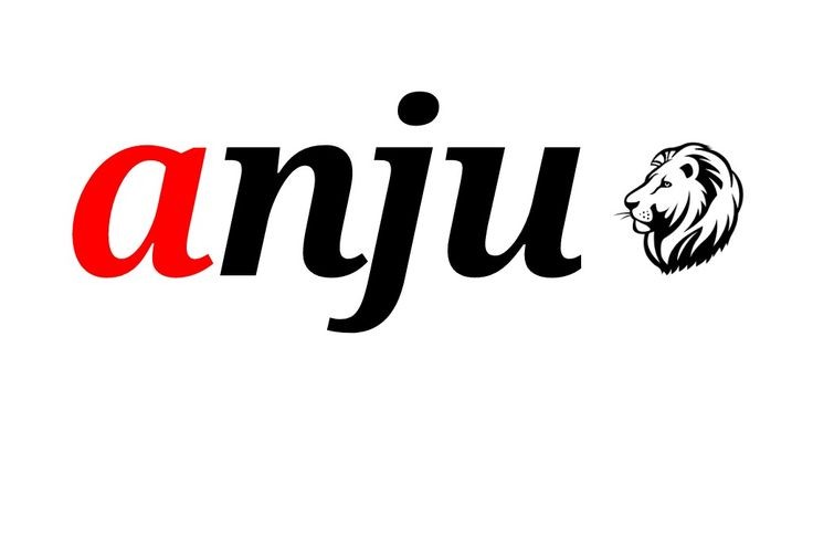 Anju Toys